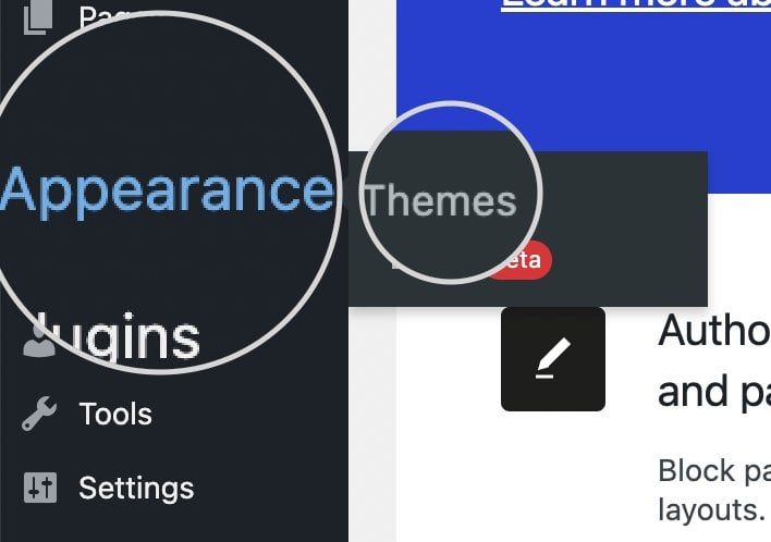 Appearance themes WordPress 