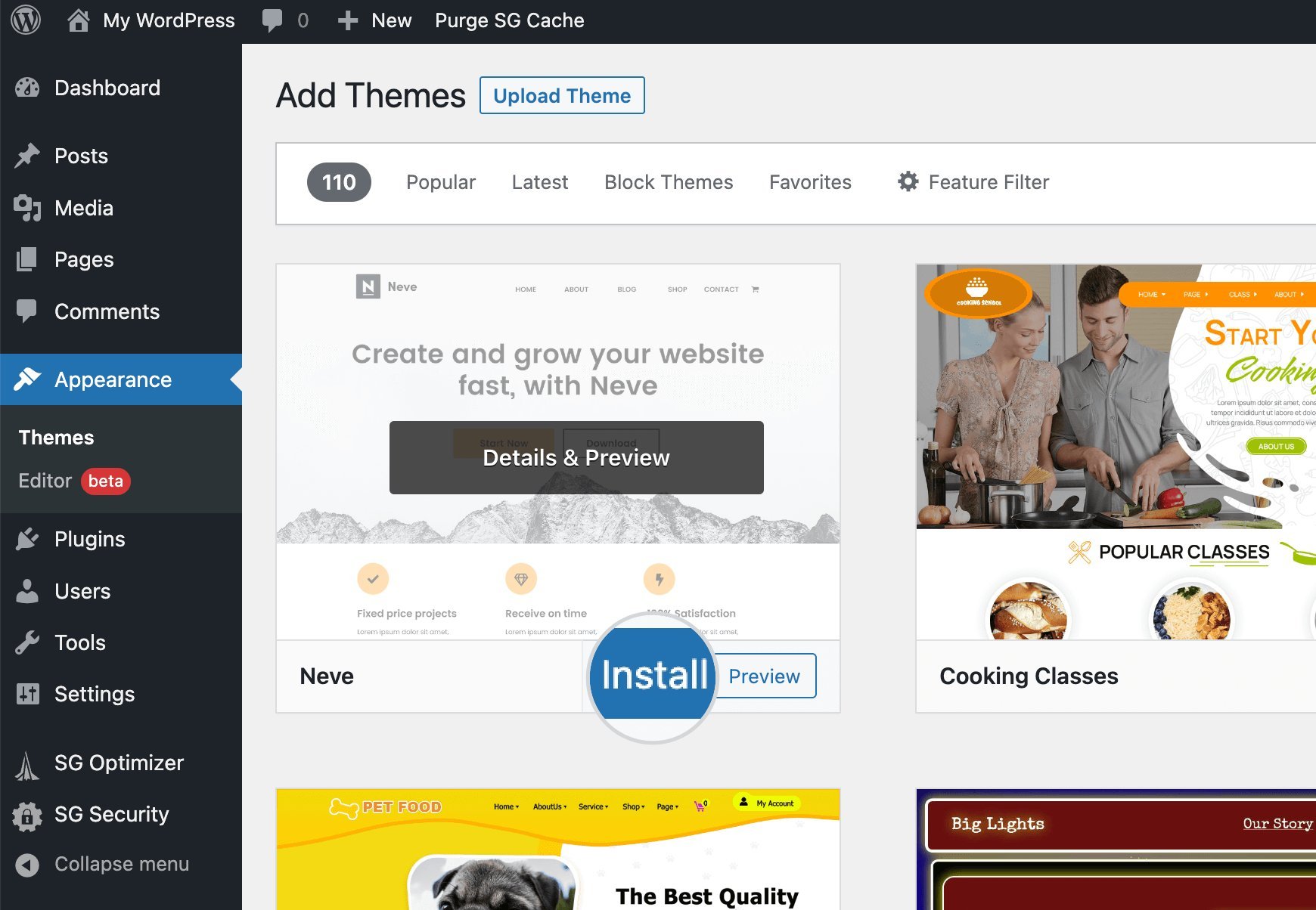 Install WordPress theme