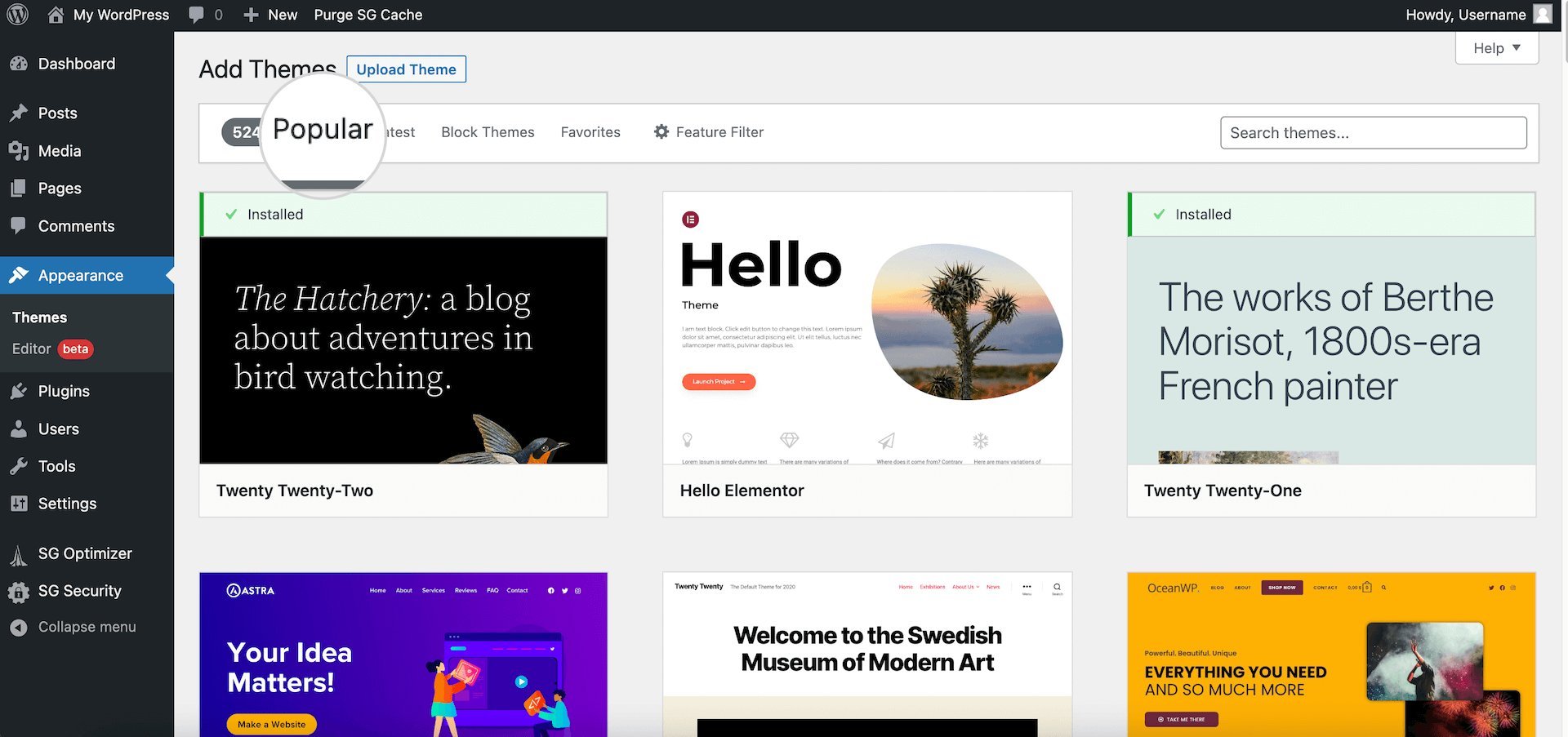 Popular themes WordPress repository 