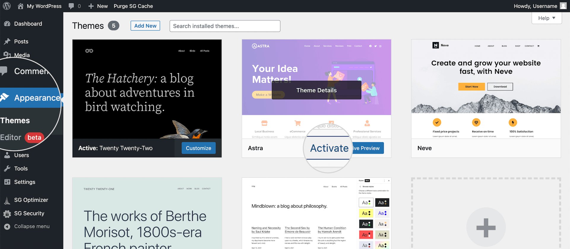 Active astra theme