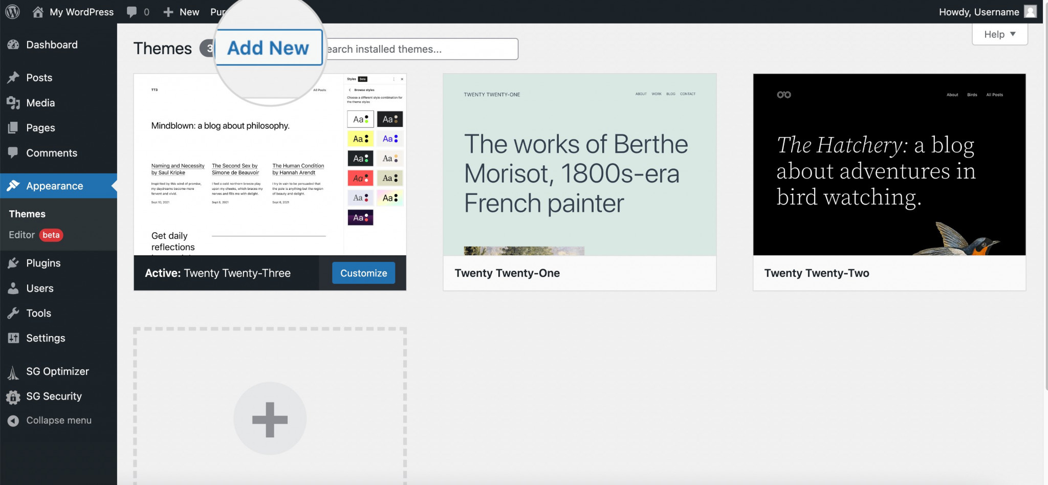 add new WordPress theme button 