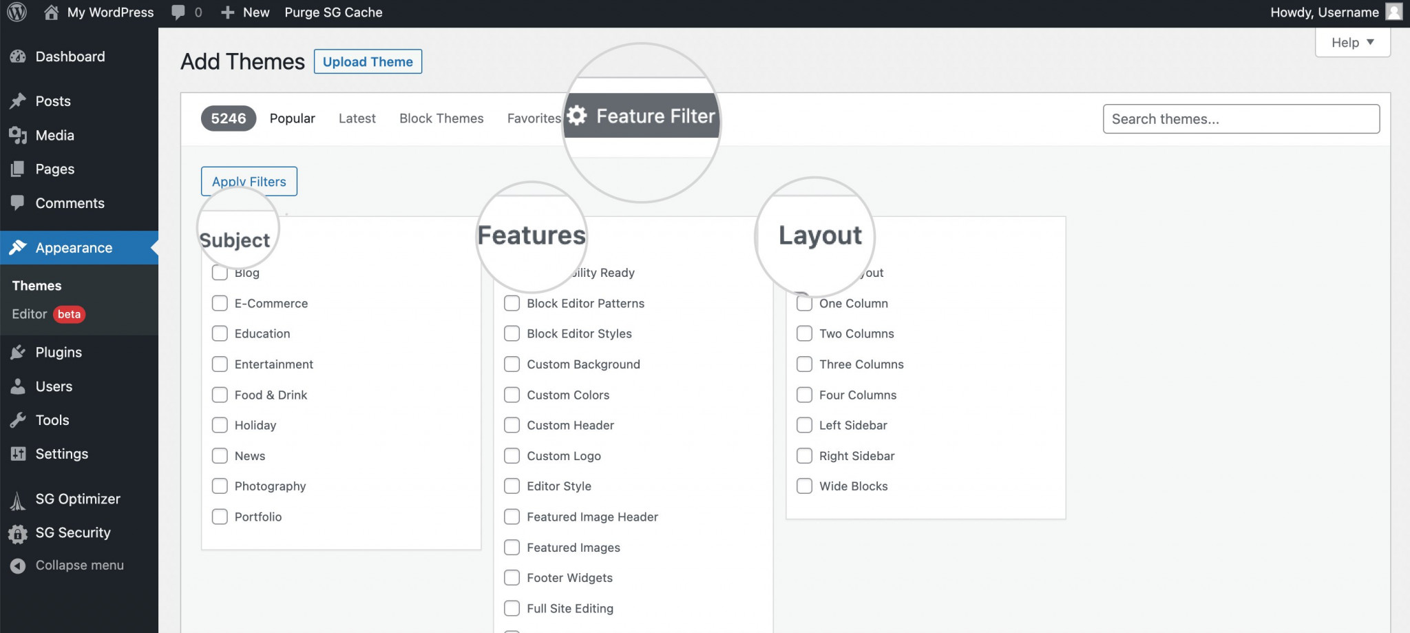 Features filter WordPress themes