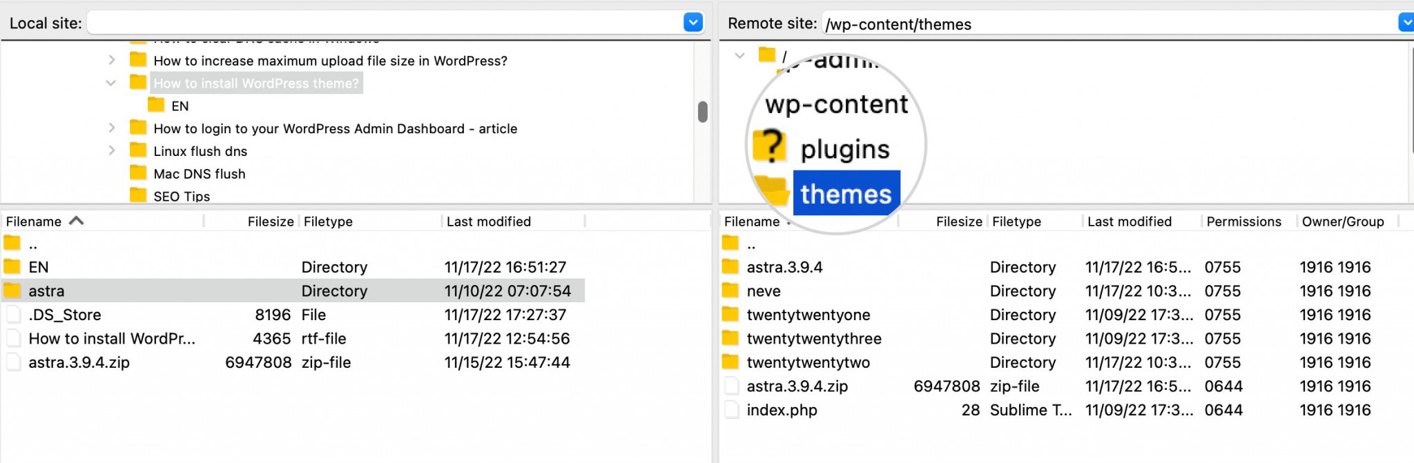WordPress content themes folder 