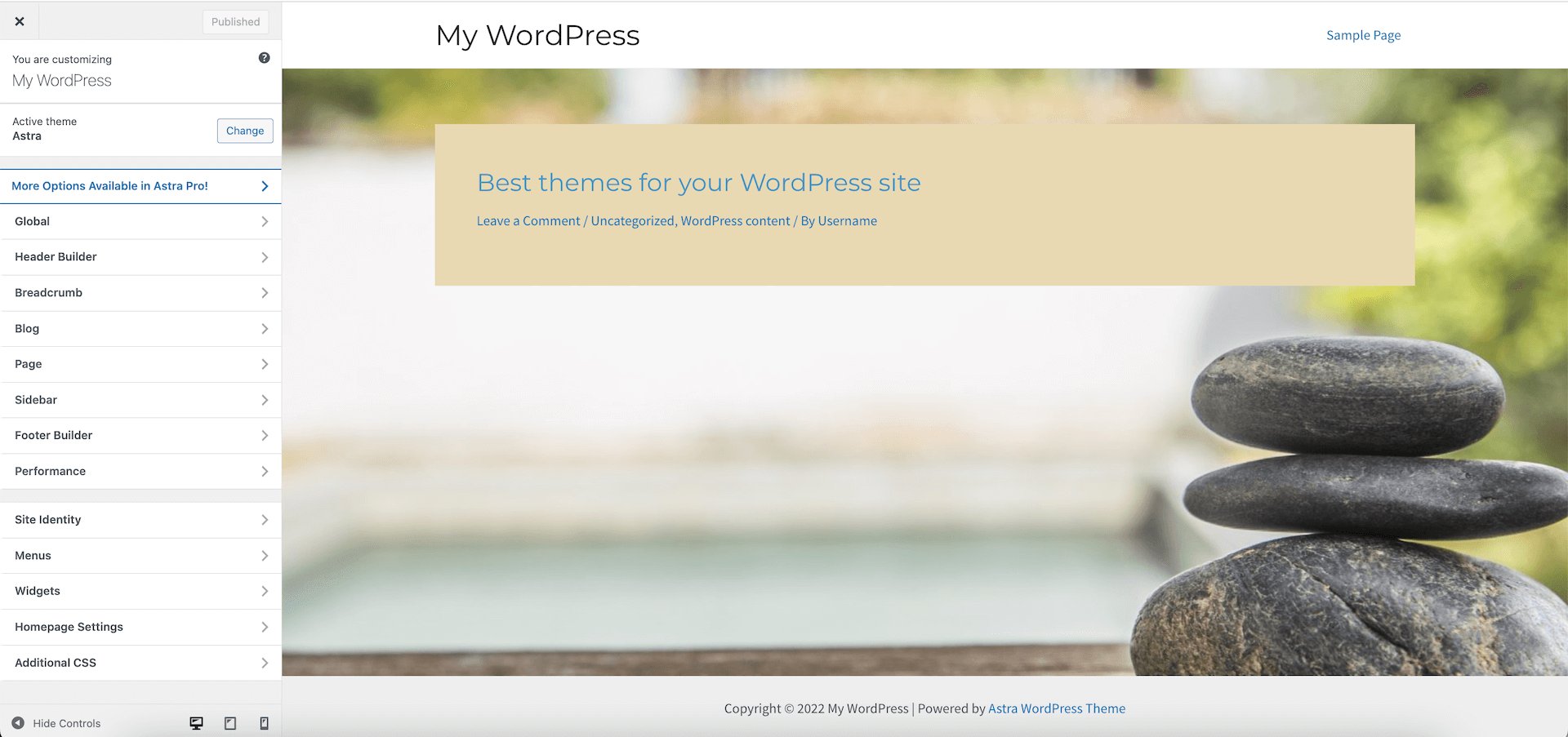 WordPress customize theme