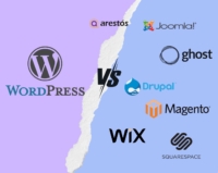 A detailed comparison between WordPress and other CMS platforms.