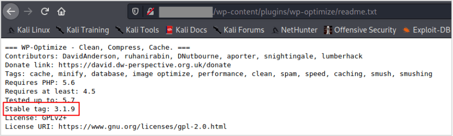 Wordpress Penetration Testing