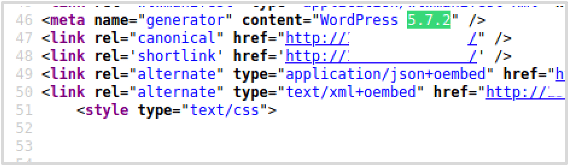 Wordpress Penetration Testing