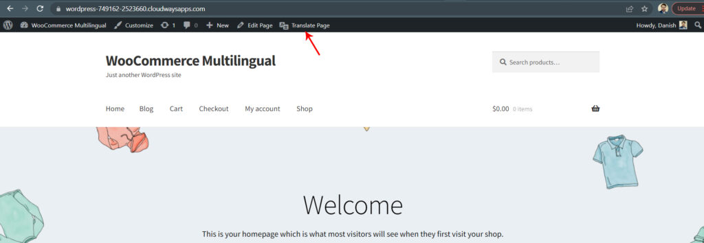 WooCommerce Multilingual Store