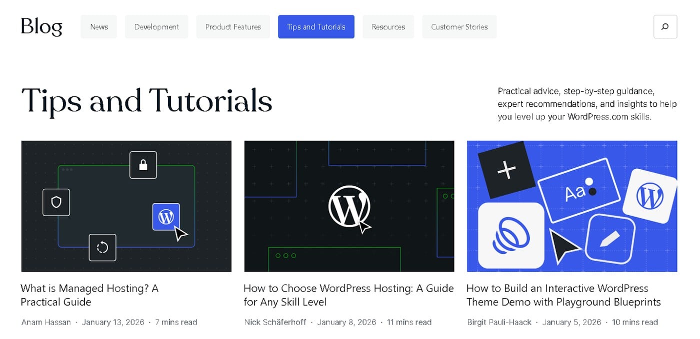 AI Search Engine Optimization WordPress