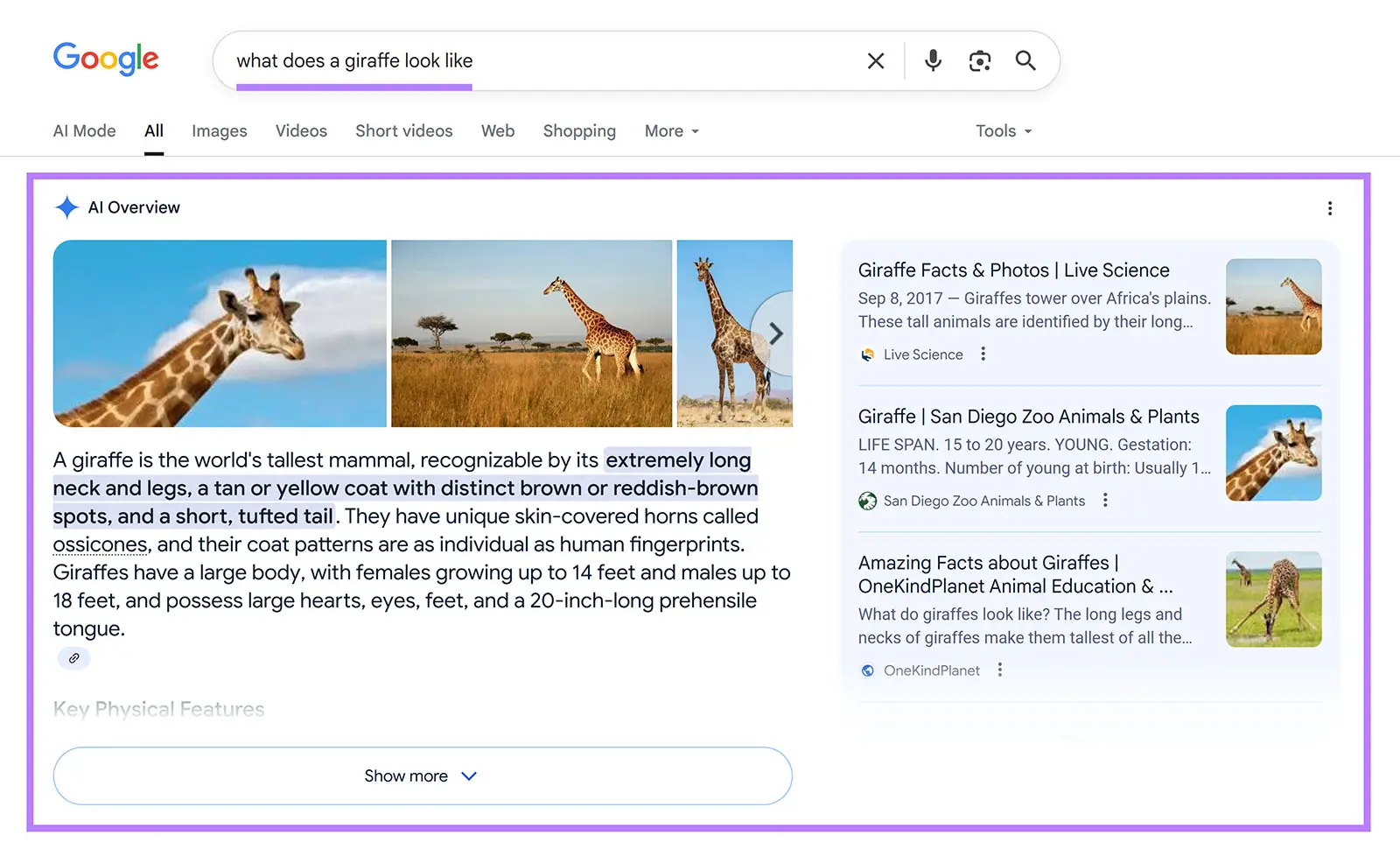 How to Get Featured Snippets