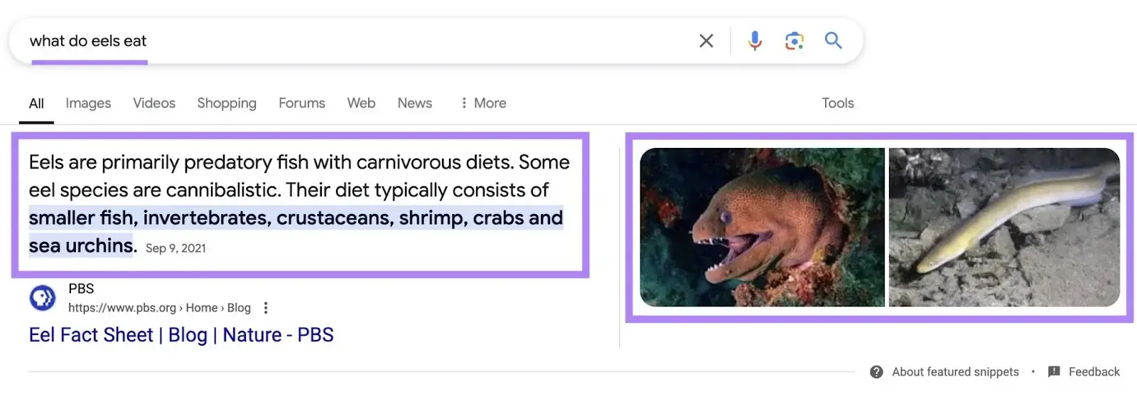 How to Get Featured Snippets