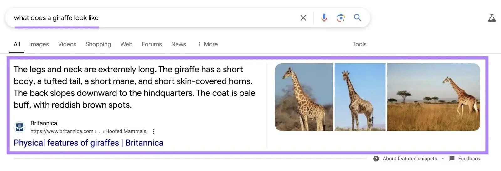 How to Get Featured Snippets